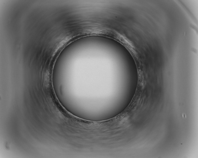 X0000091300012200708171402