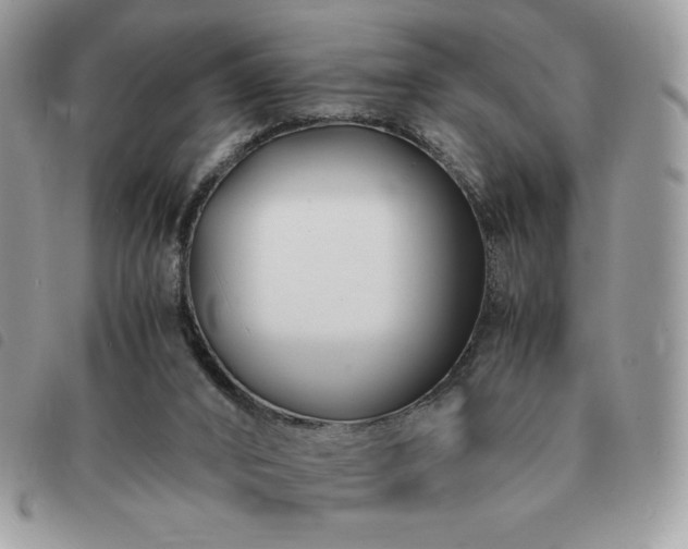 X0000091300016200708171402