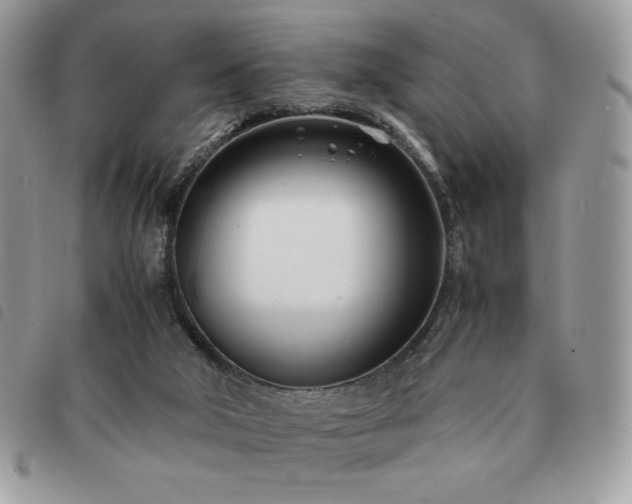 X0000091300018200708171402