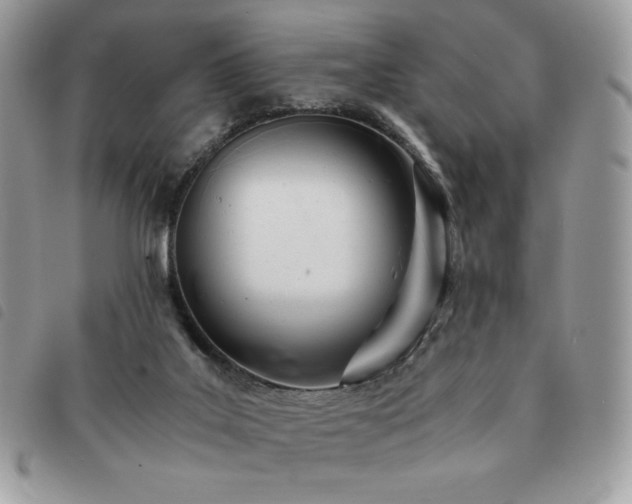 X0000091300019200708171402