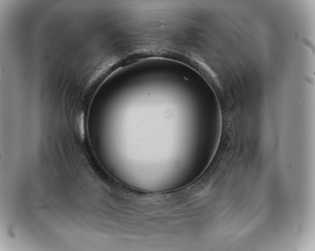 X0000091300020200708171402