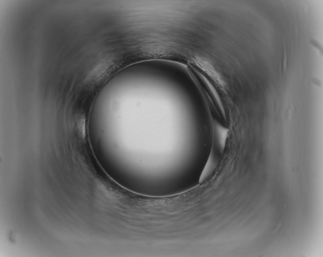 X0000091300021200708171402