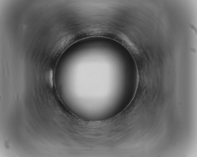 X0000091300022200708171402