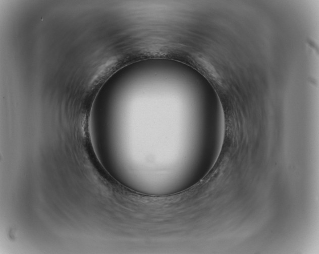 X0000091300023200708171402