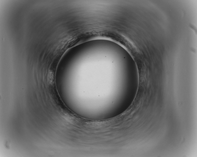 X0000091300025200708171402