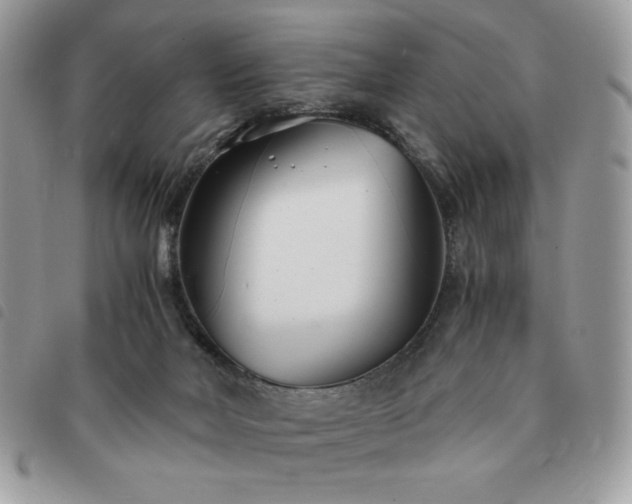 X0000091300026200708171402