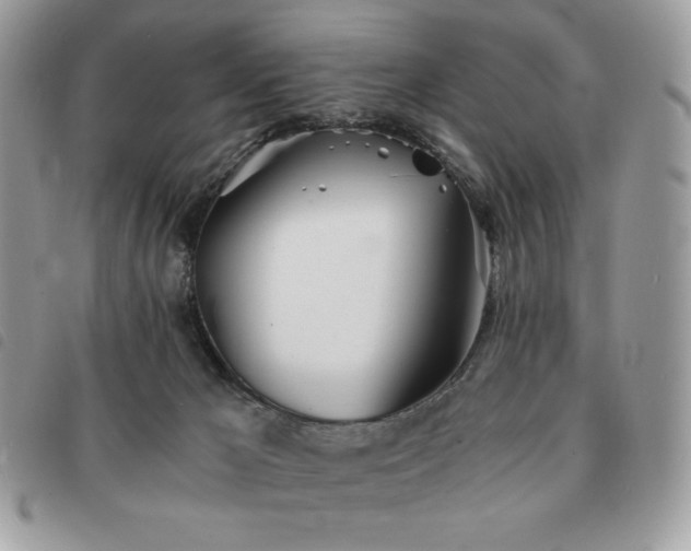 X0000091300029200708171402