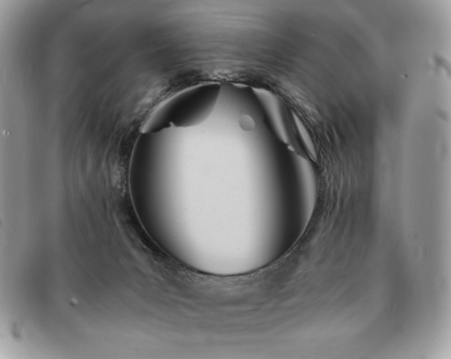 X0000091300031200708171402