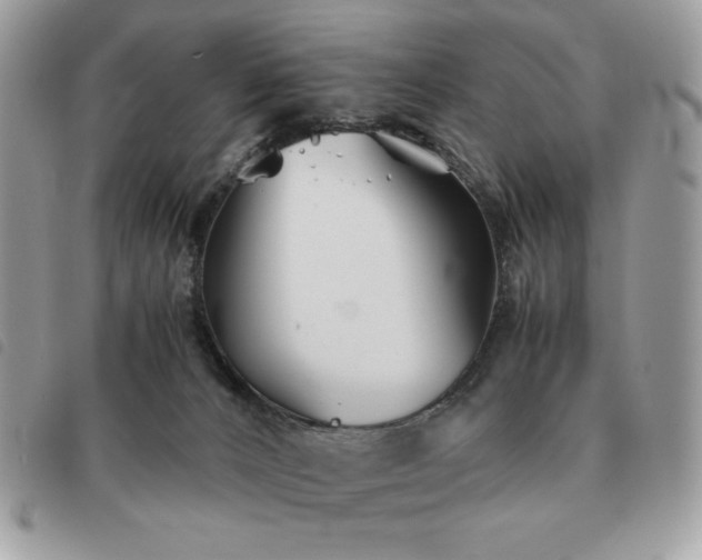 X0000091300032200708171402