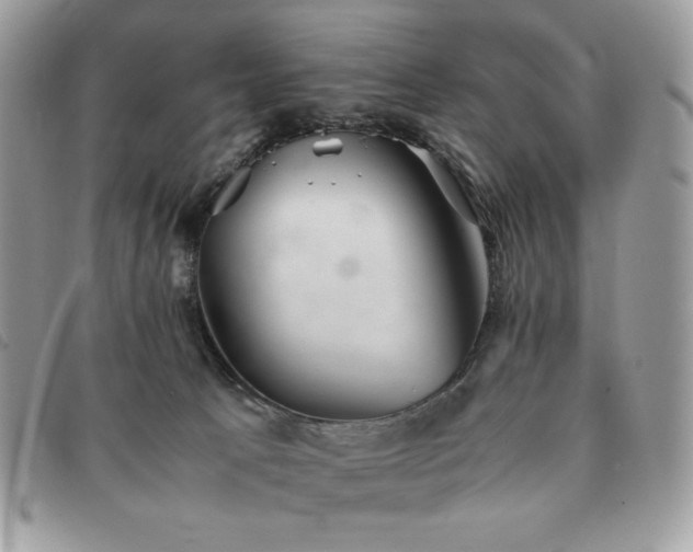 X0000091300033200708171402