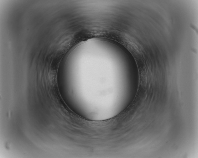 X0000091300034200708171402