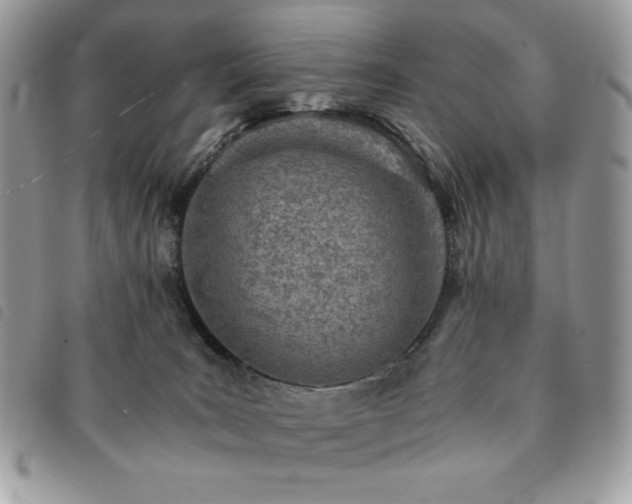 X0000091300035200708171402