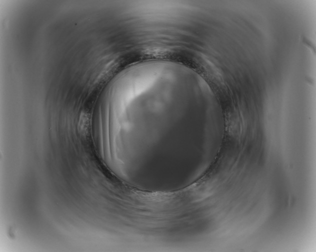 X0000091300036200708171402