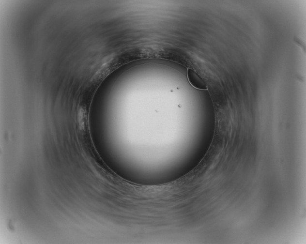 X0000091300038200708171402