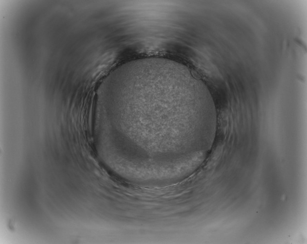 X0000091300039200708171402