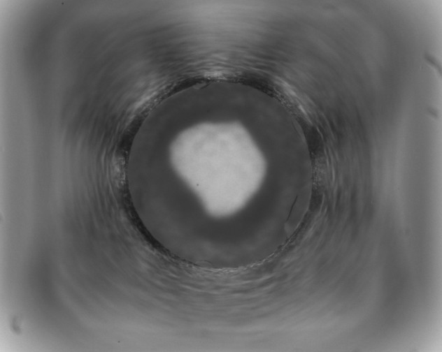 X0000091300043200708171402