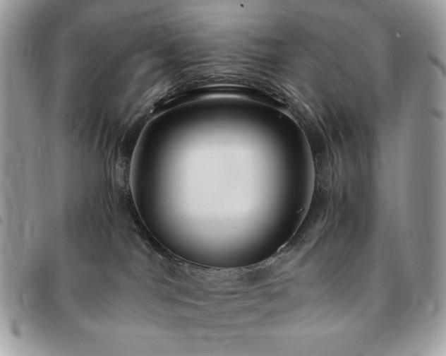 X0000091300044200708171402