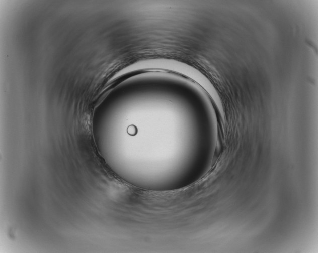 X0000091300045200708171402