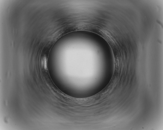 X0000091300046200708171402