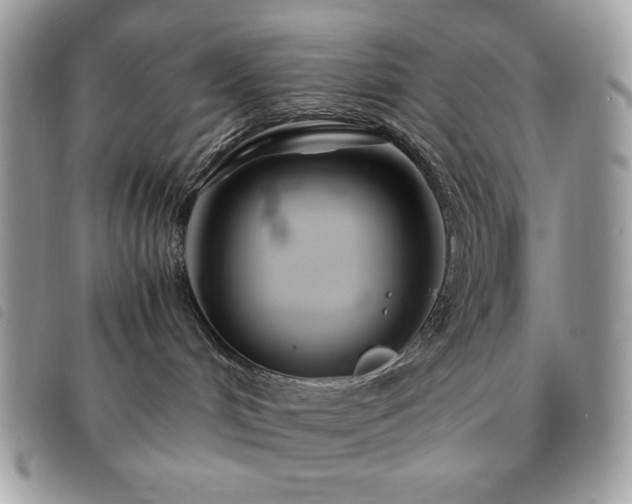 X0000091300048200708171402