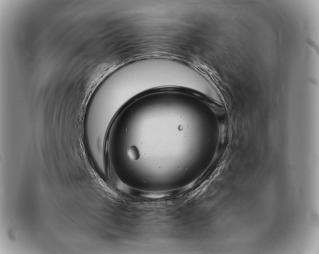 X0000091300049200708171401