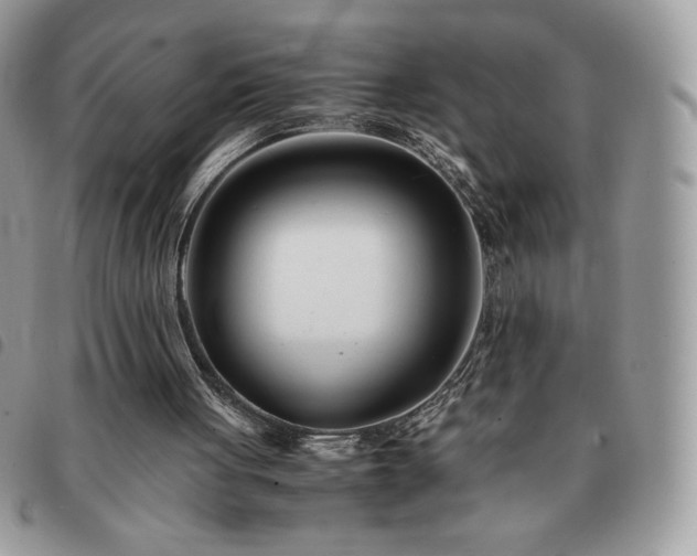 X0000091300051200708171401