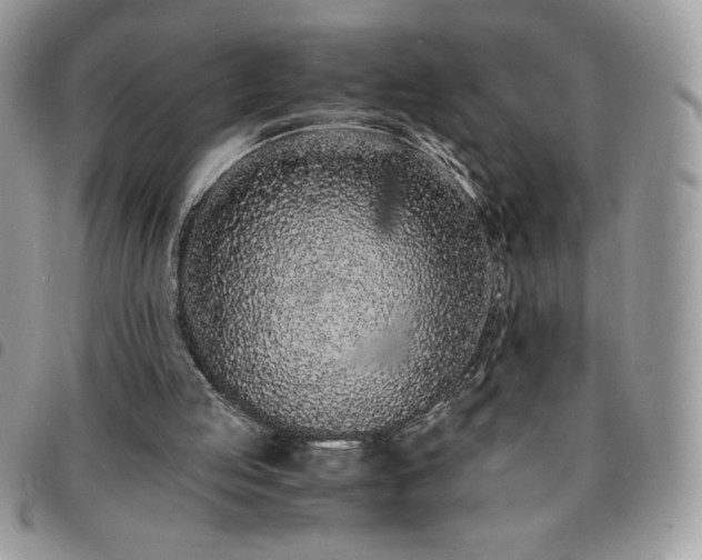 X0000091300053200708171401