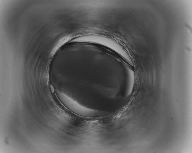 X0000091300054200708171401