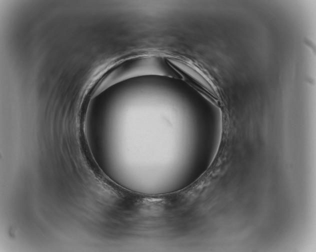 X0000091300055200708171401