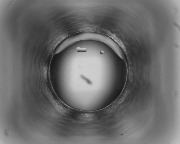 X0000091300057200708171401