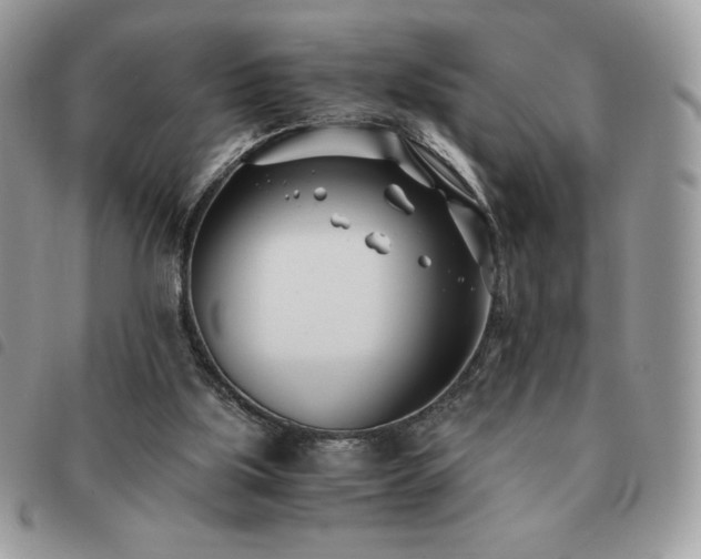 X0000091300059200708171401