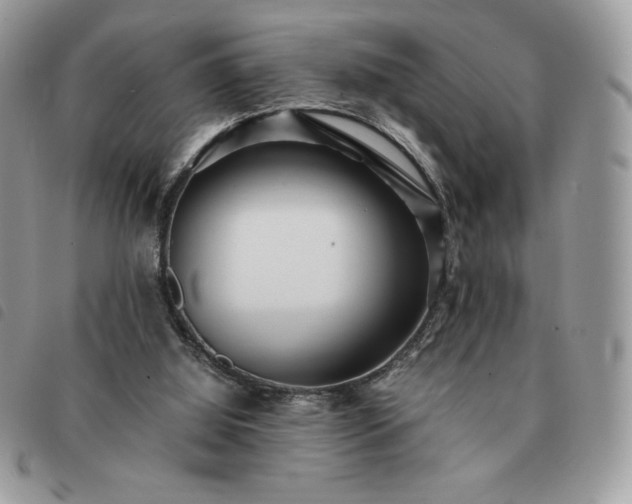 X0000091300060200708171401