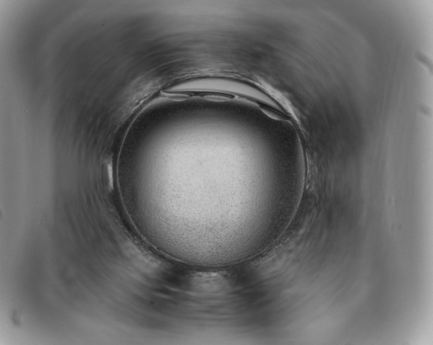 X0000091300061200708171401