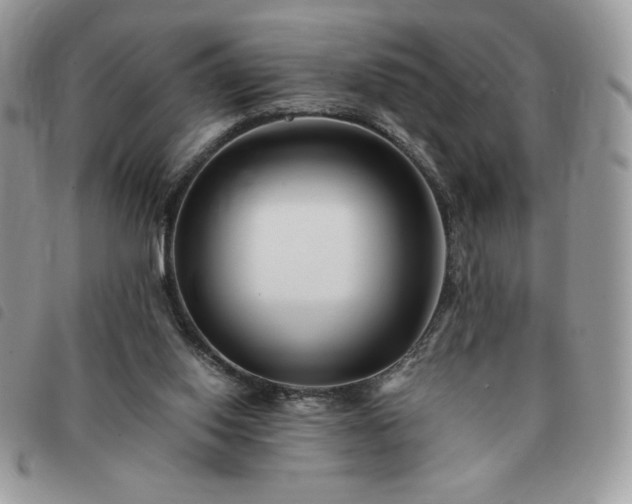 X0000091300062200708171401