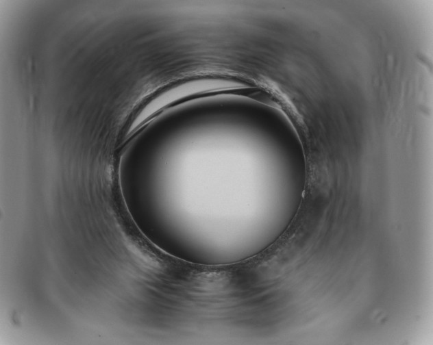 X0000091300063200708171401