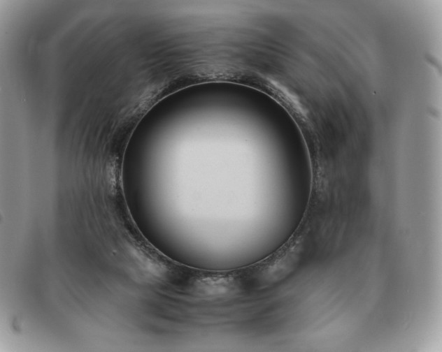 X0000091300065200708171401