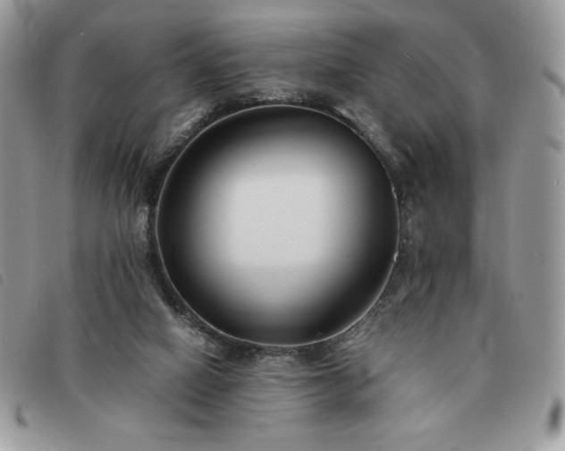 X0000091300066200708171401