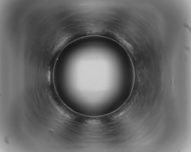 X0000091300067200708171401