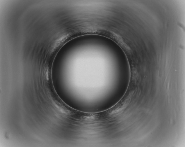 X0000091300068200708171401