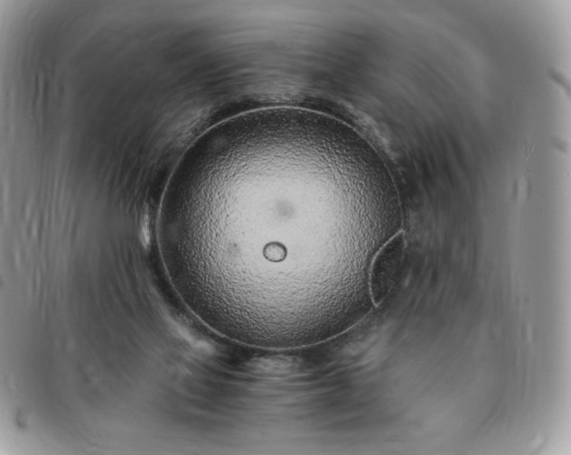 X0000091300069200708171401