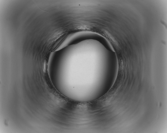 X0000091300076200708171401