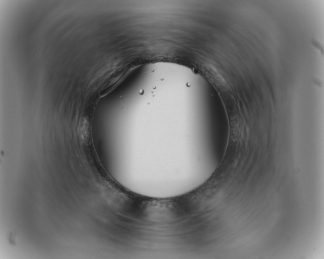 X0000091300077200708171401