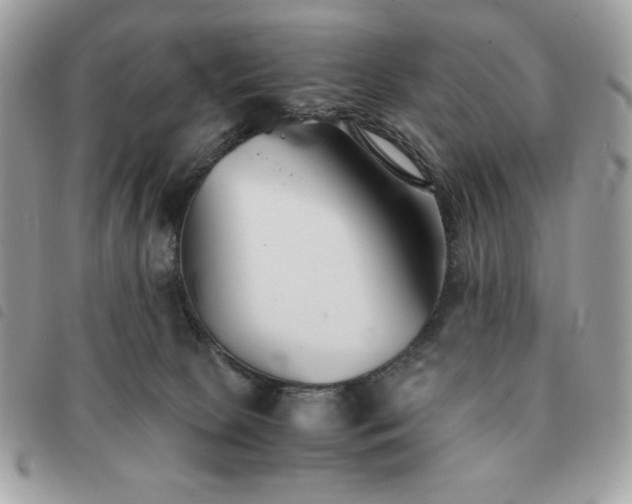 X0000091300081200708171401