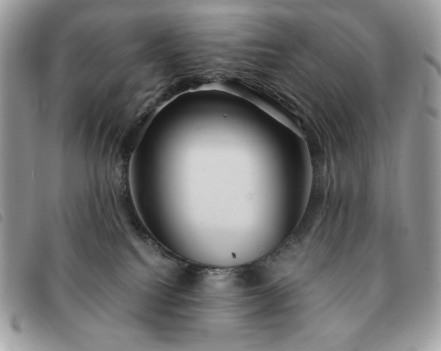 X0000091300088200708171402