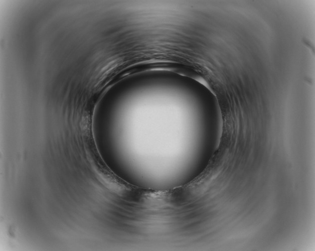 X0000091300092200708171402