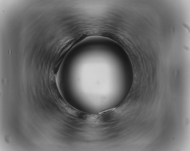 X0000091300096200708171402