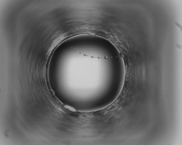 X0000091300099200708171401