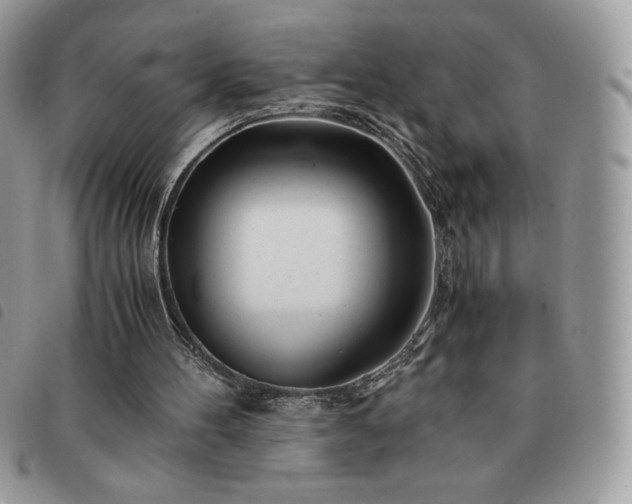 X0000091300100200708171401