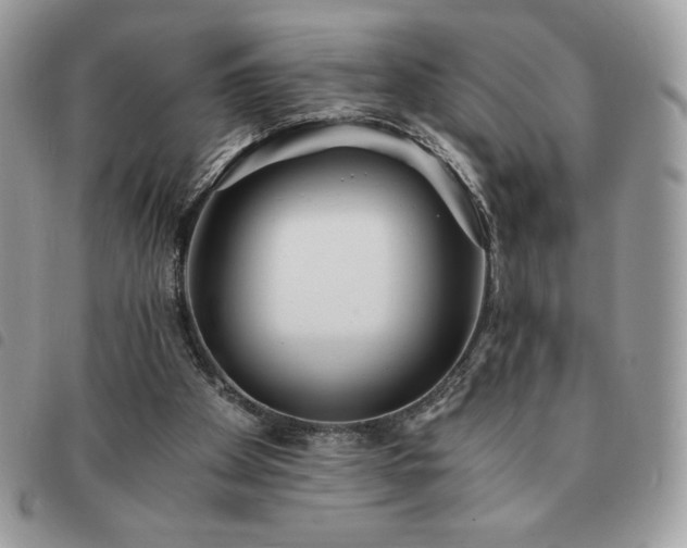 X0000091300105200708171401