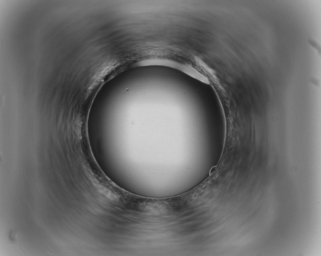 X0000091300106200708171401